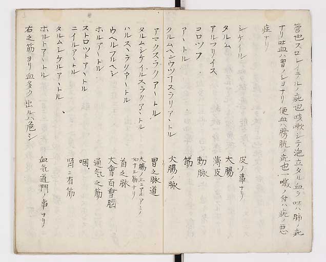 K0014s0004