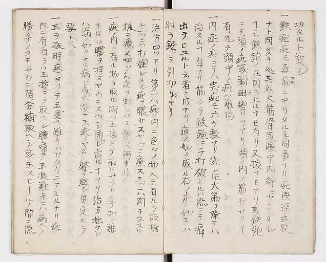 K0014s0012
