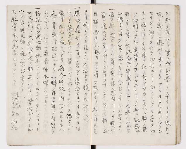 K0014s0031