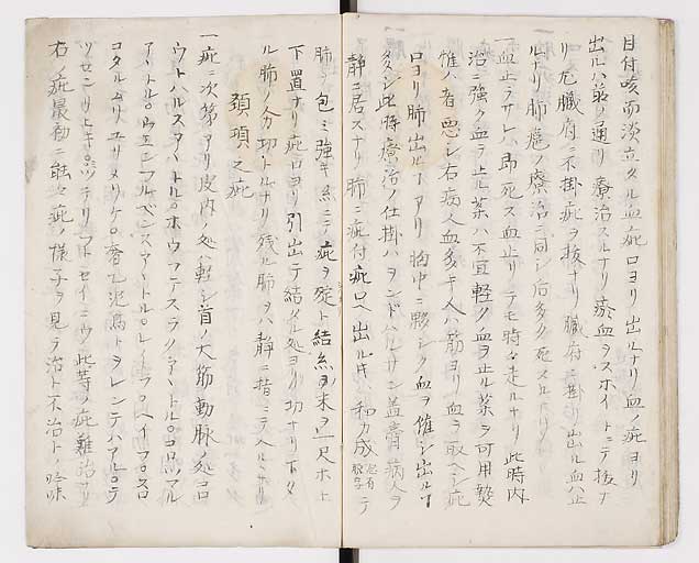 K0014s0032