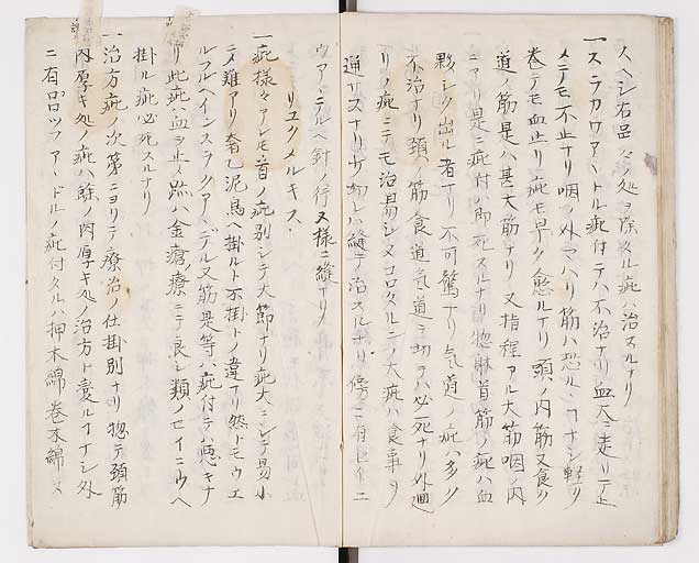K0014s0034
