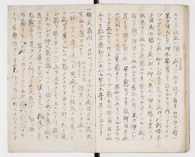 K0014s0035
