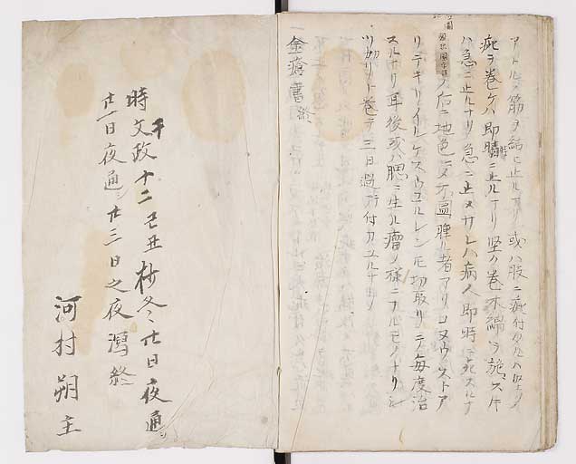 K0014s0036