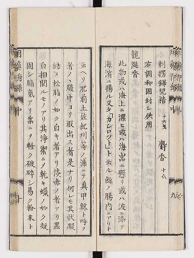 K0016s0051