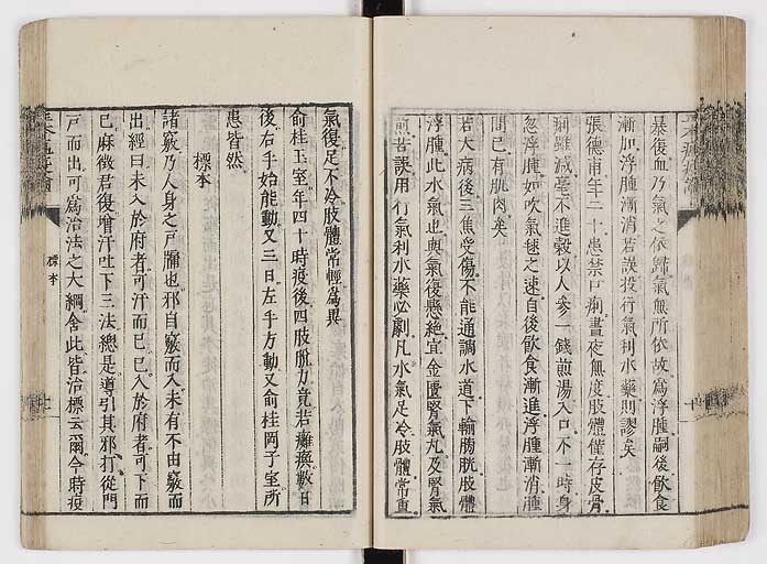 K0018s0081