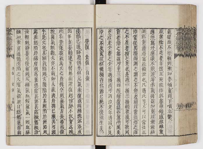 K0018s0099