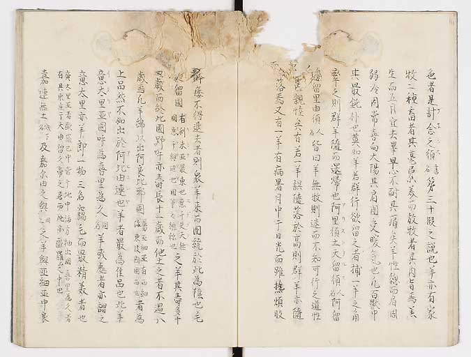 K0019s0011
