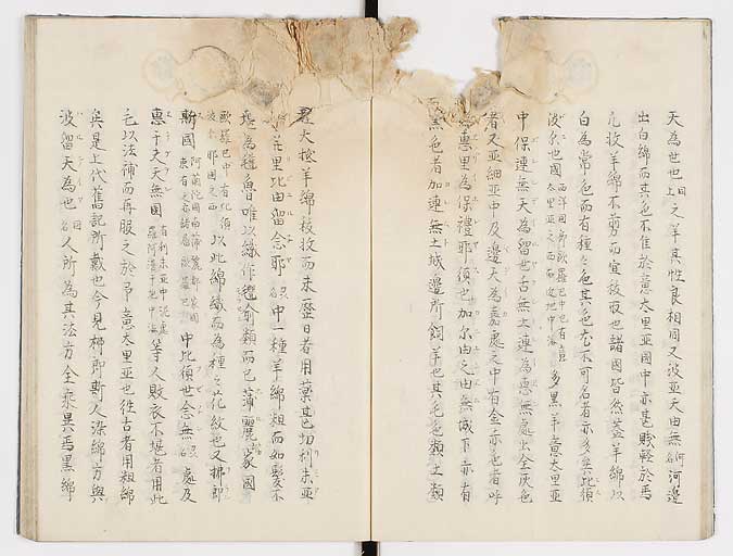 K0019s0012