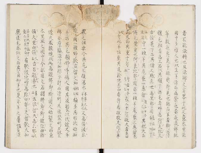 K0019s0013