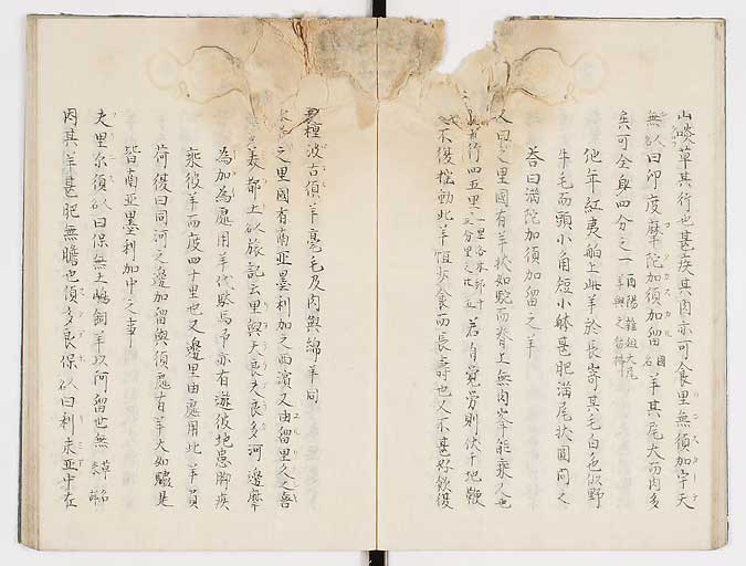 K0019s0014