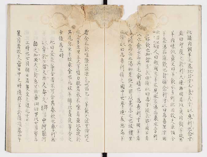 K0019s0015