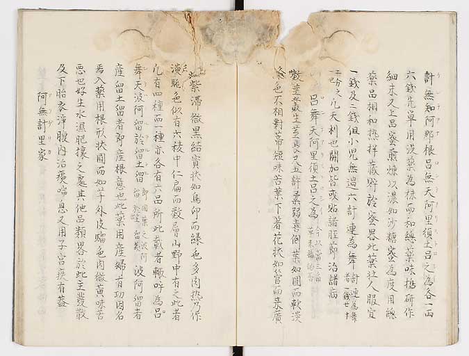K0019s0019