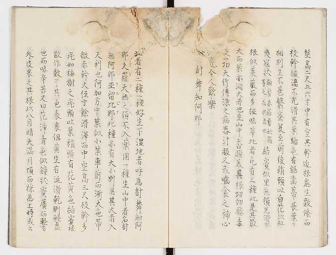 K0019s0020
