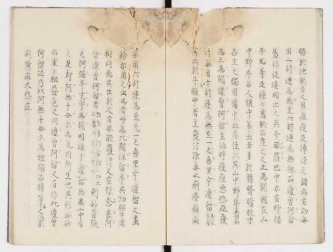K0019s0028