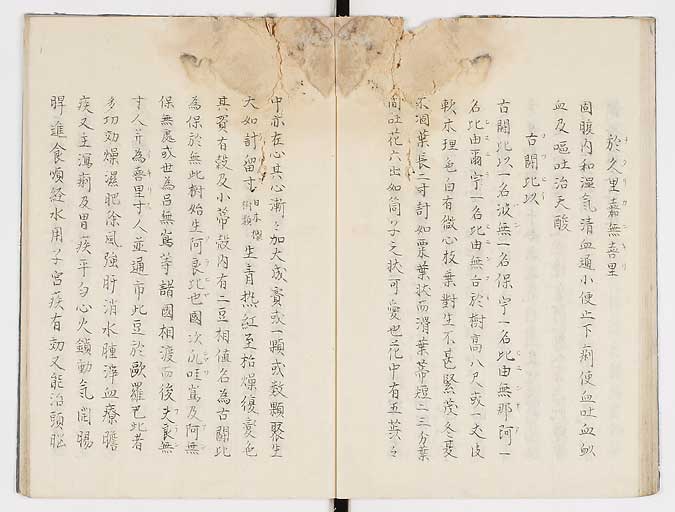 K0019s0029