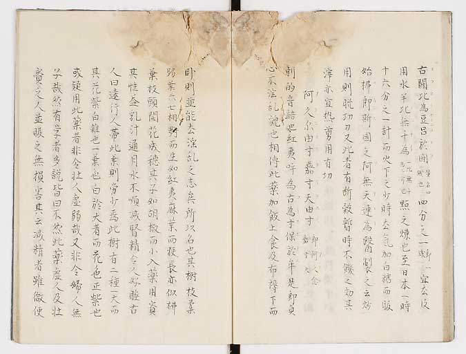 K0019s0031