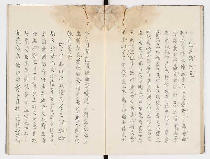 K0019s0034
