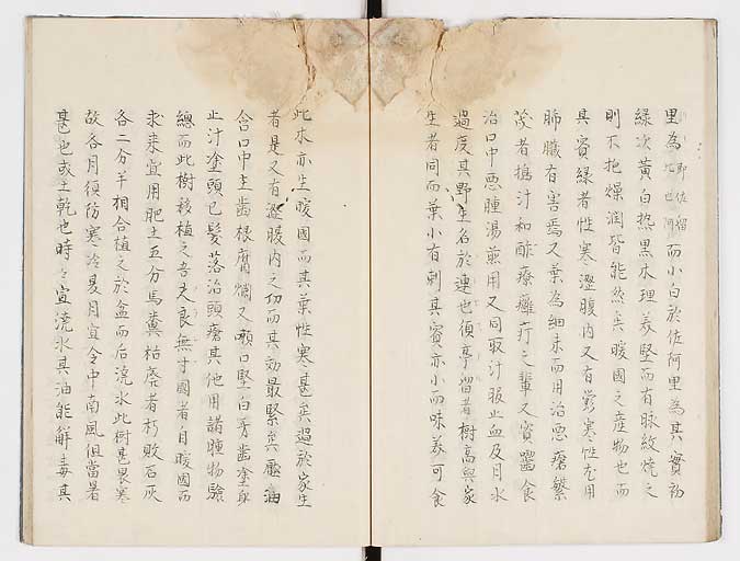 K0019s0035