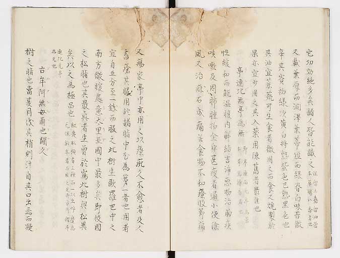 K0019s0036