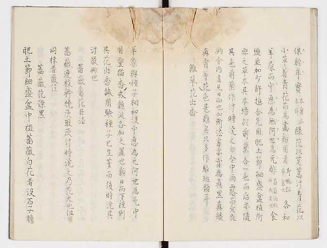 K0019s0039
