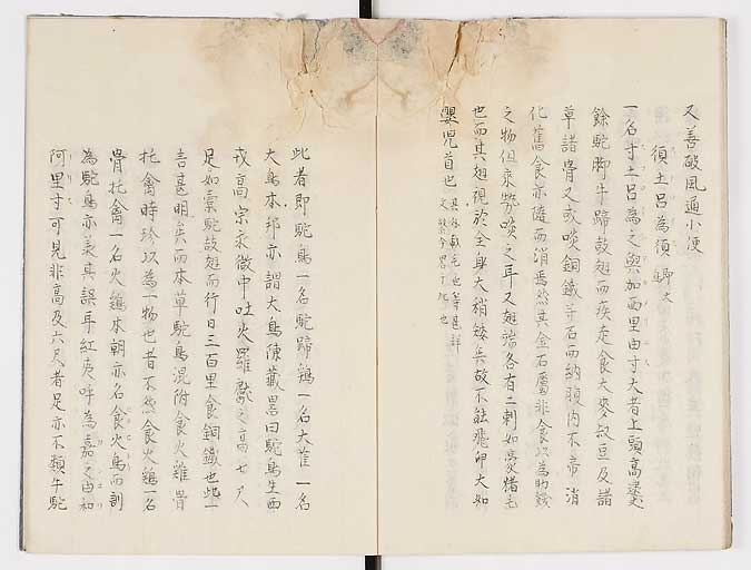 K0019s0051