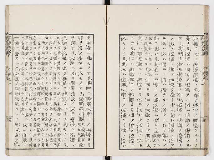 K0020s0023