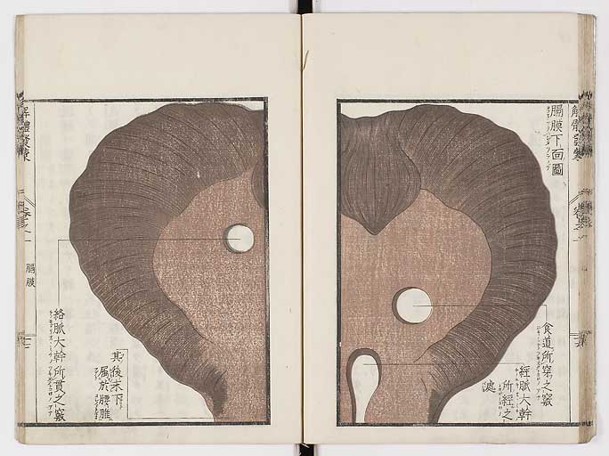 K0020s0026
