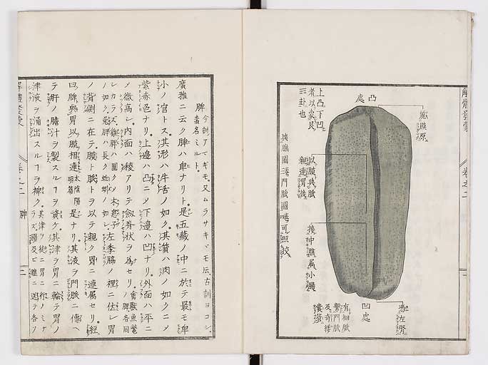 K0020s0045