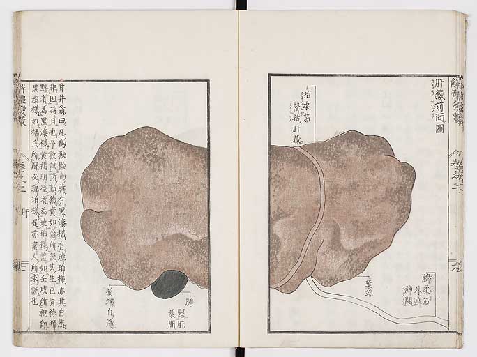 K0020s0050