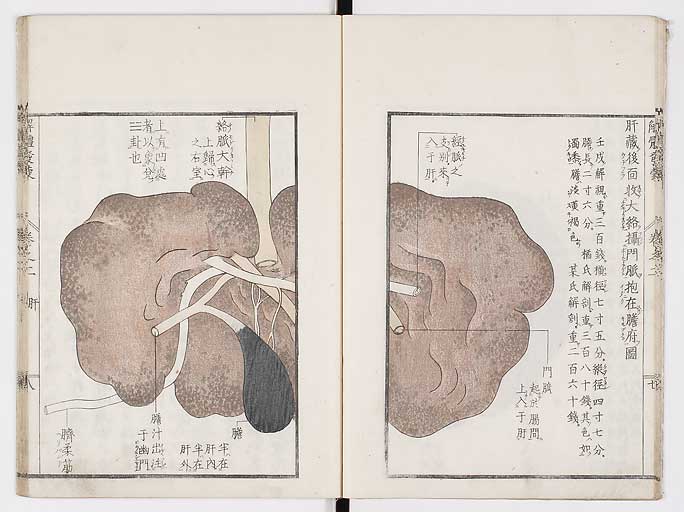K0020s0051