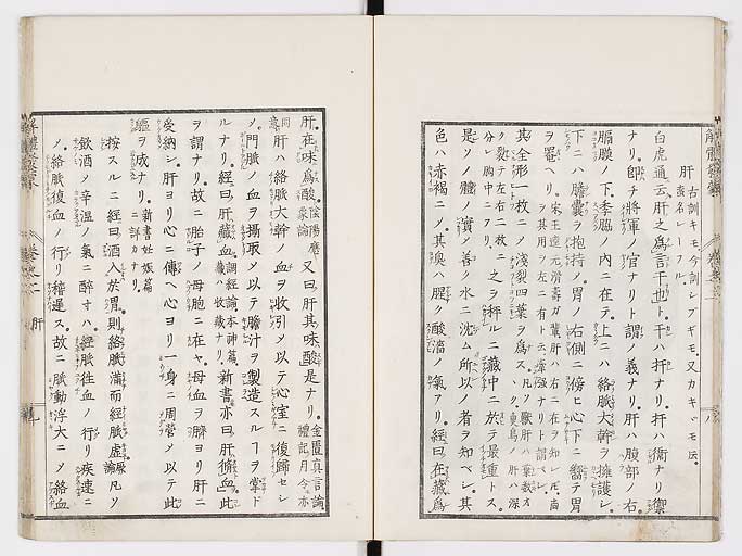 K0020s0052