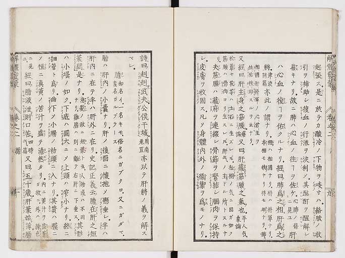 K0020s0053