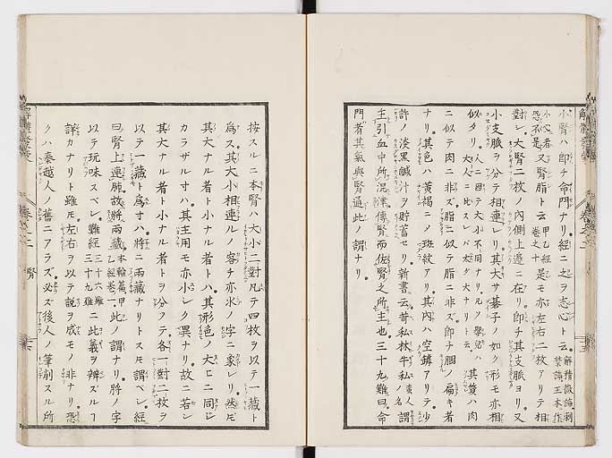 K0020s0059