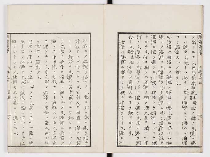 K0020s0080
