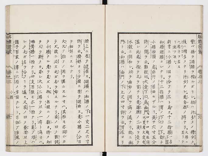 K0020s0083