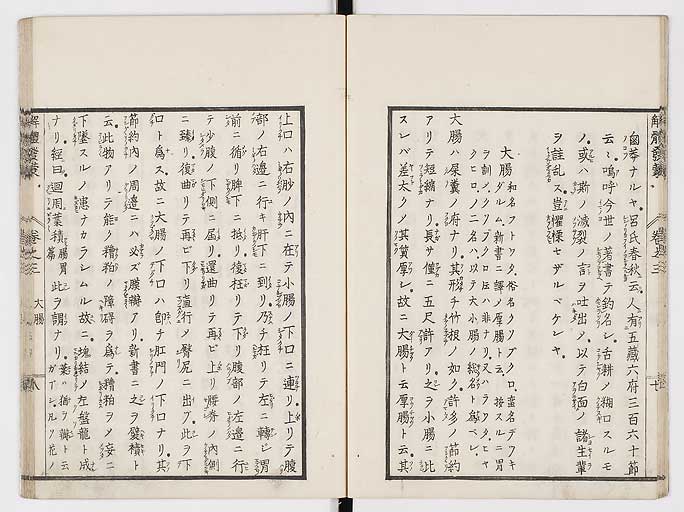 K0020s0084