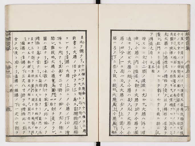 K0020s0085