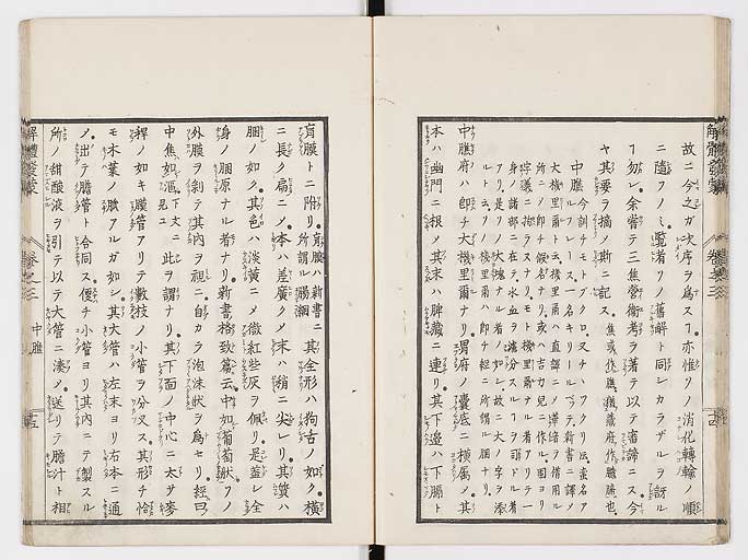 K0020s0091