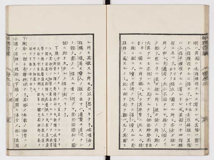 K0020s0093