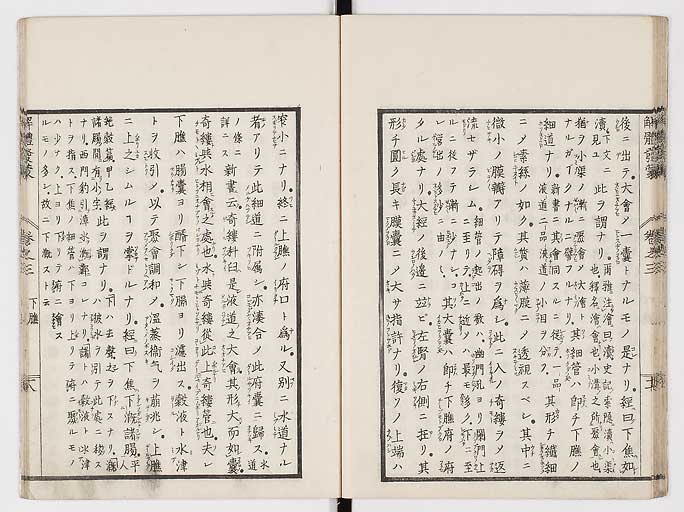K0020s0094