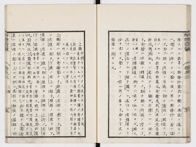 K0020s0095