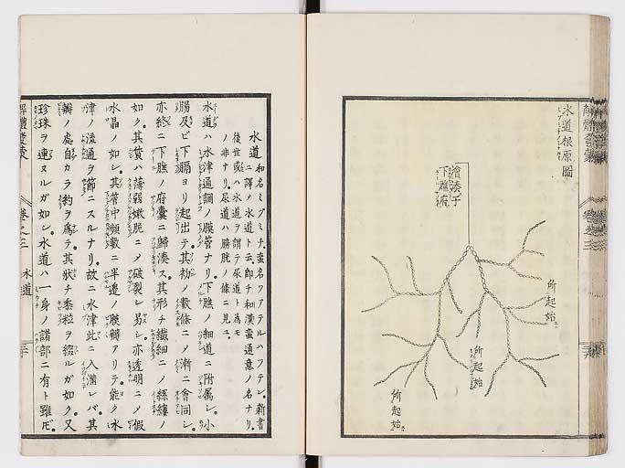 K0020s0106