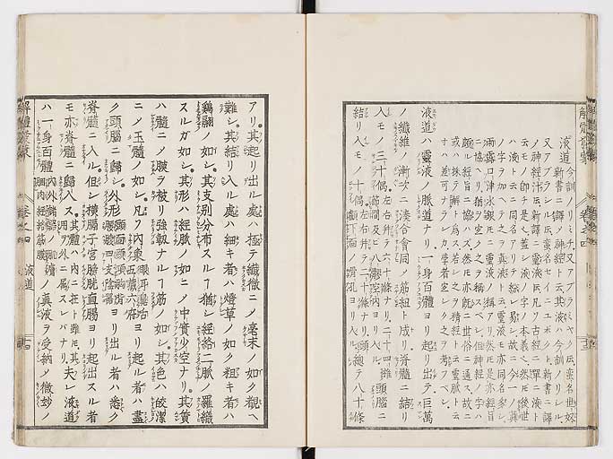 K0020s0125