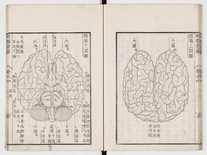K0020s0131