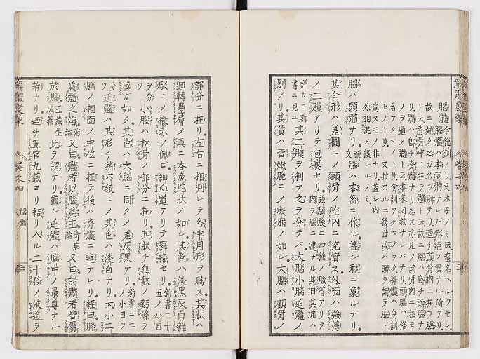 K0020s0132