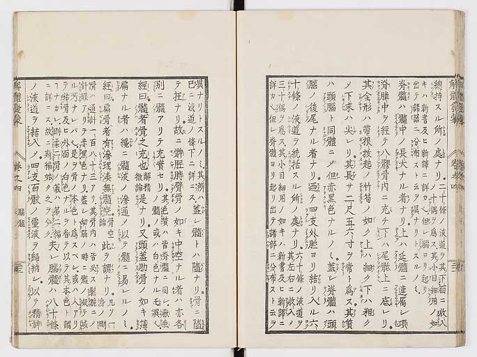K0020s0133