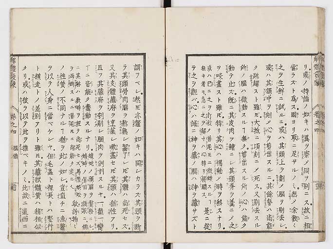 K0020s0135