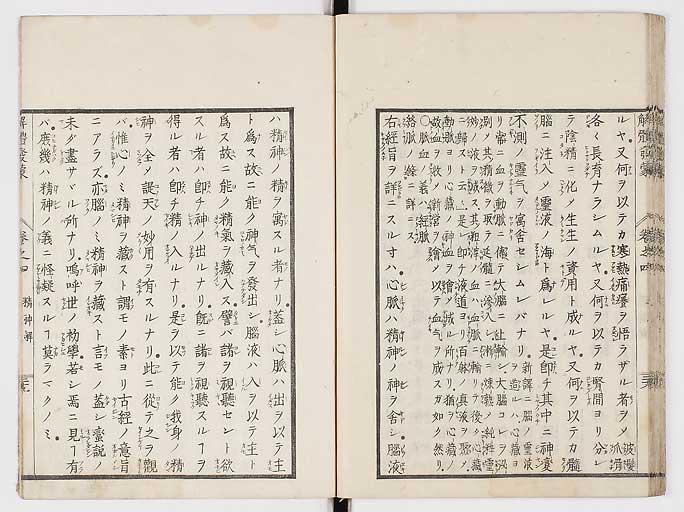 K0020s0140