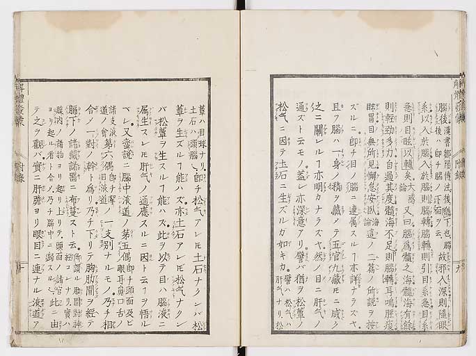 K0020s0156