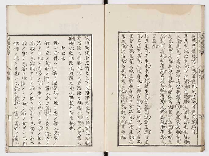 K0020s0163